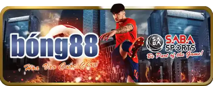 Các kênh mạng xã hội